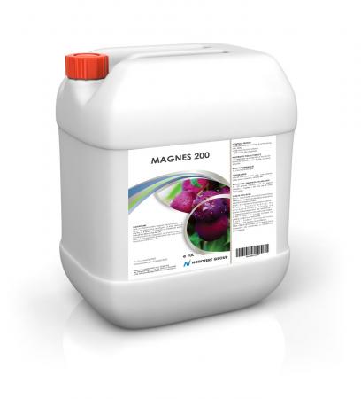 Magnes 200
