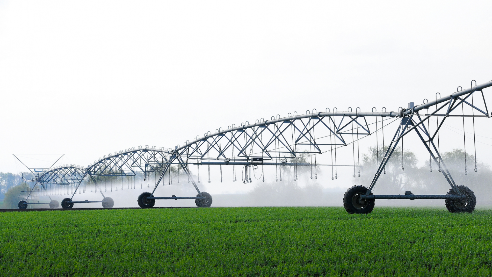 Norofert posts turnover of 11.7 million RON in the first quarter