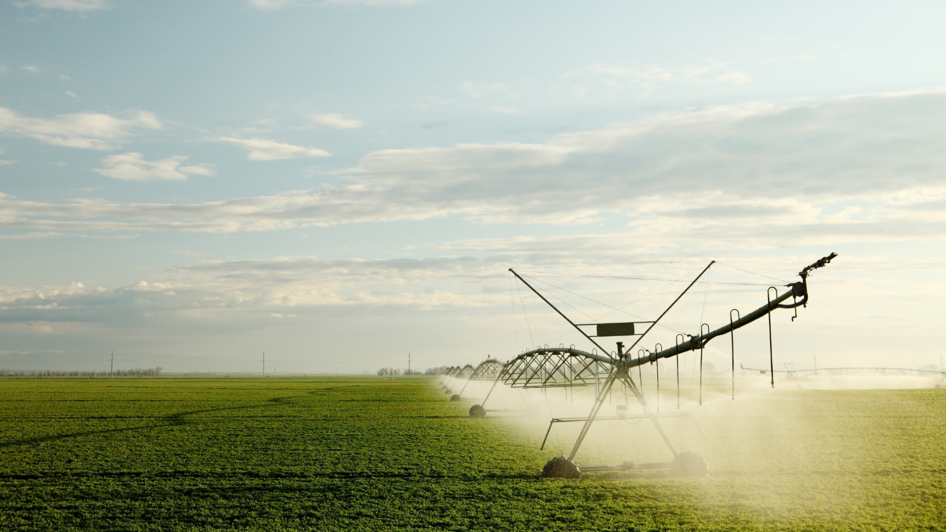 Norofert, profit din activitatea de producție și comercializare de inputuri, în T1 2024